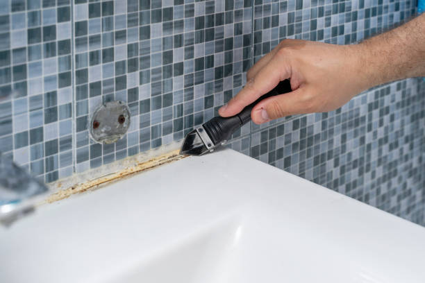 Best Health and Safety Mold Remediation in Finneytown, OH