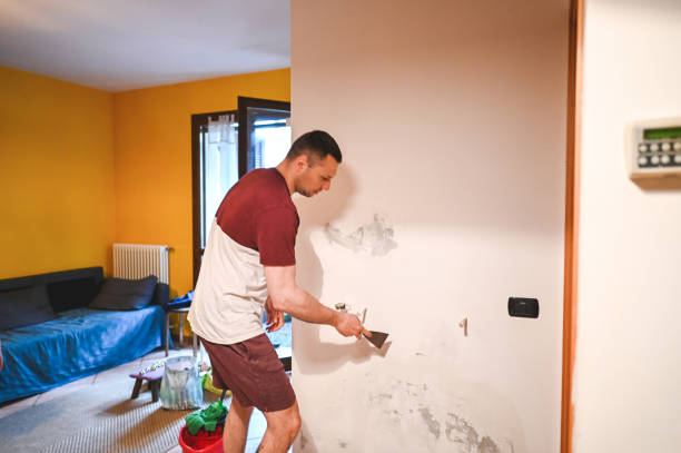 Best Mold Testing and Inspection Services in Finneytown, OH